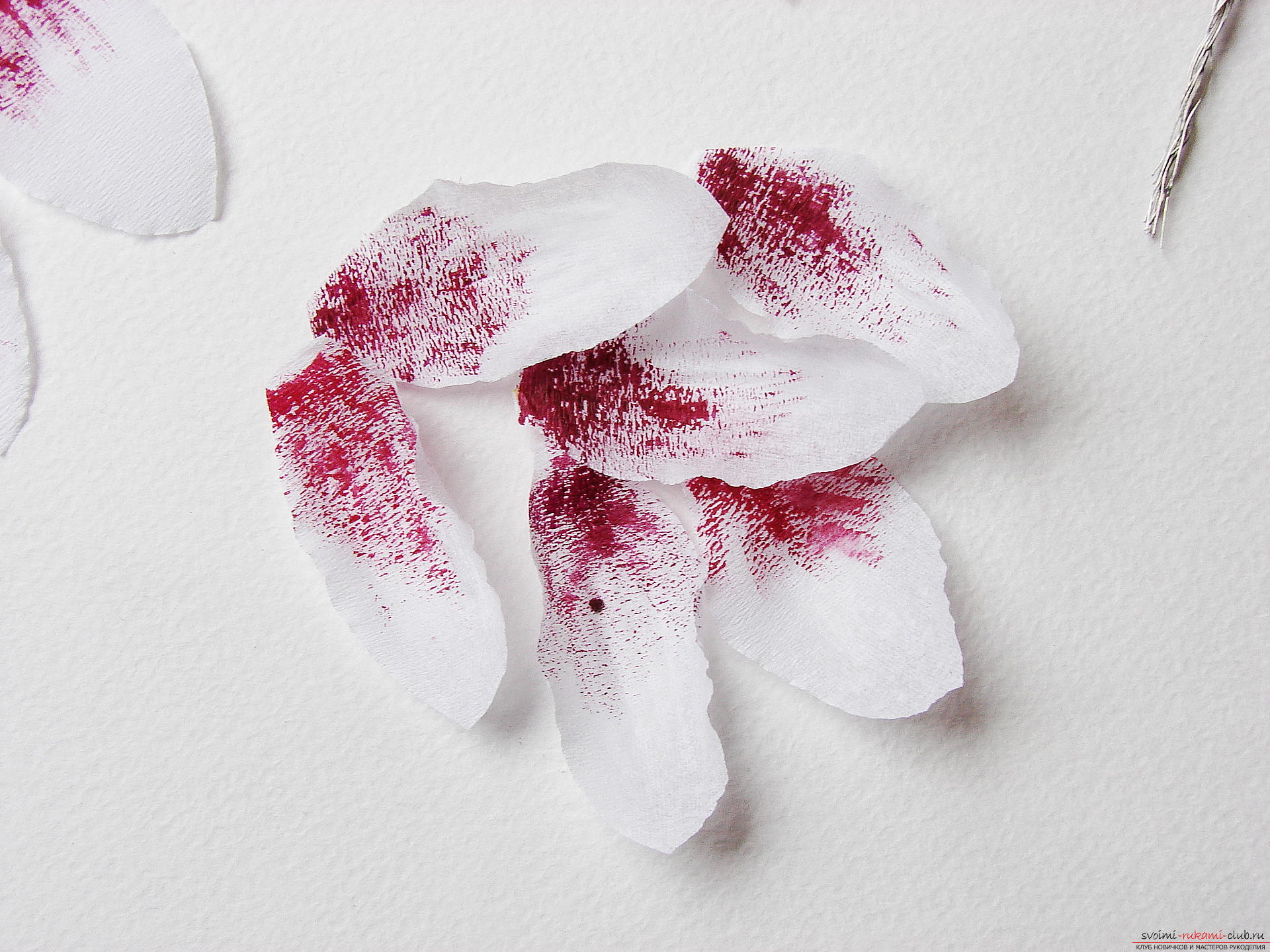 Мастер-класс с фото научит как делается магнолия - искусственные цветы из гофрированной бумаги своими руками.. Фото №13